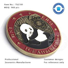 TSC101